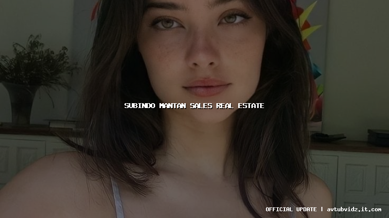 subindo mantan sales real estate