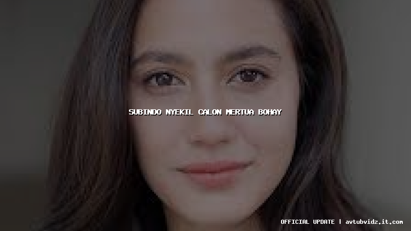 subindo nyekil calon mertua bohay